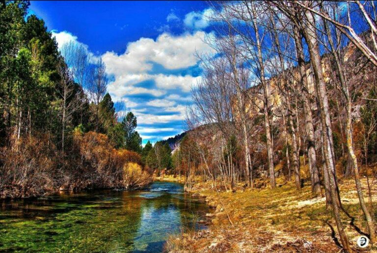 08 - IMG-20240807-WA0065