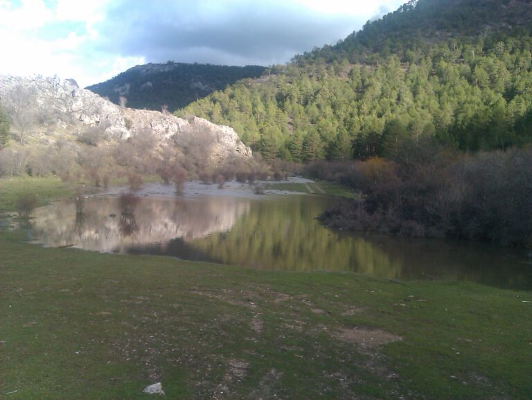 IMAG0066