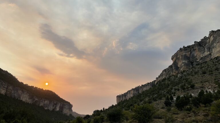 IMG-3282